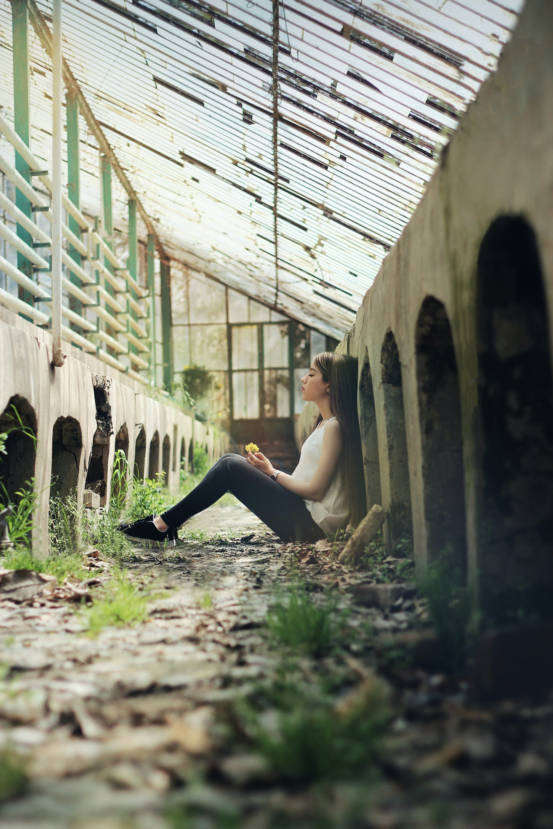 Pleading for Blessings in Setbacks: Psalm 44