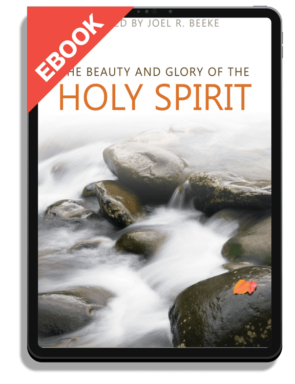 The Beauty and Glory of the Holy Spirit