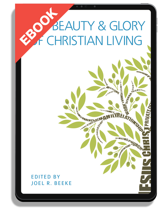 The Beauty and Glory of Christian Living