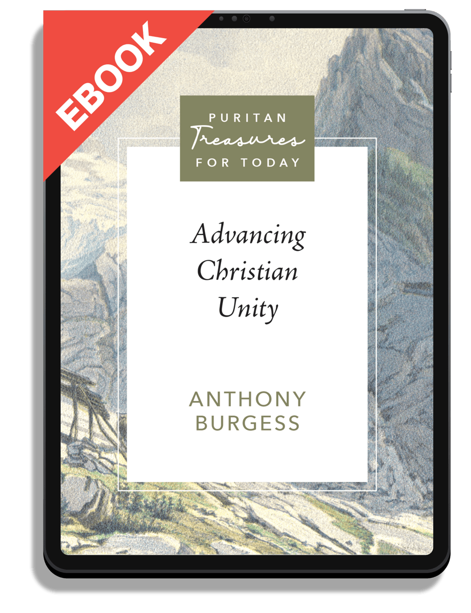 Advancing Christian Unity