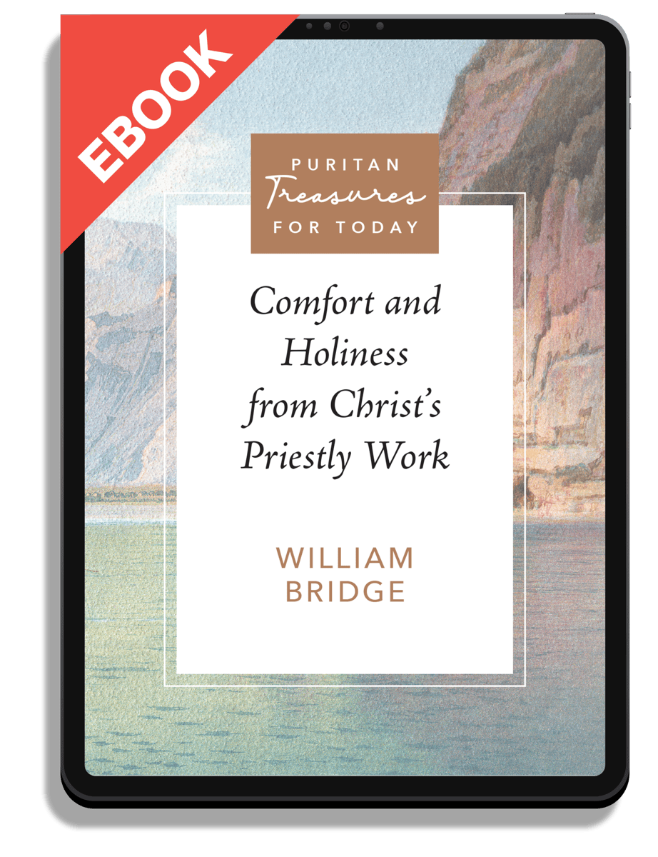Comfort and Holiness from Christ's Priestly Work