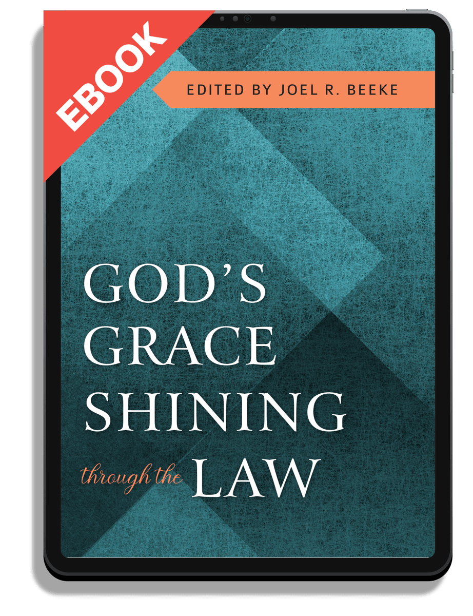 God's Grace Shining through Law