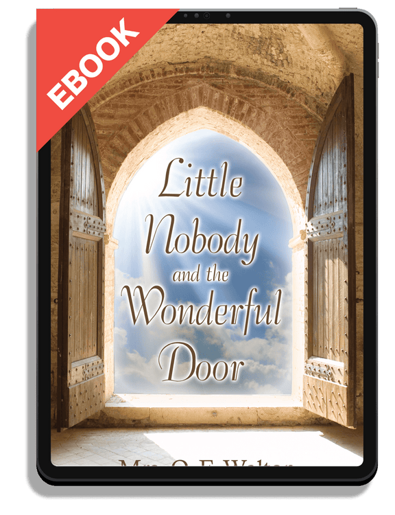 Little Nobody and the Wonderful Door