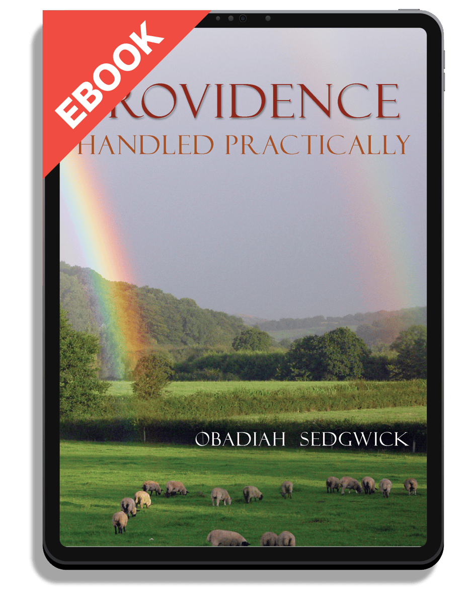Providence Handled Practically