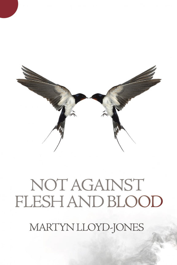 Not Against Flesh And Blood: The Battle Against Spiritual Wickedness in High Places