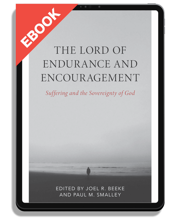 The Lord of Endurance and Encouragement