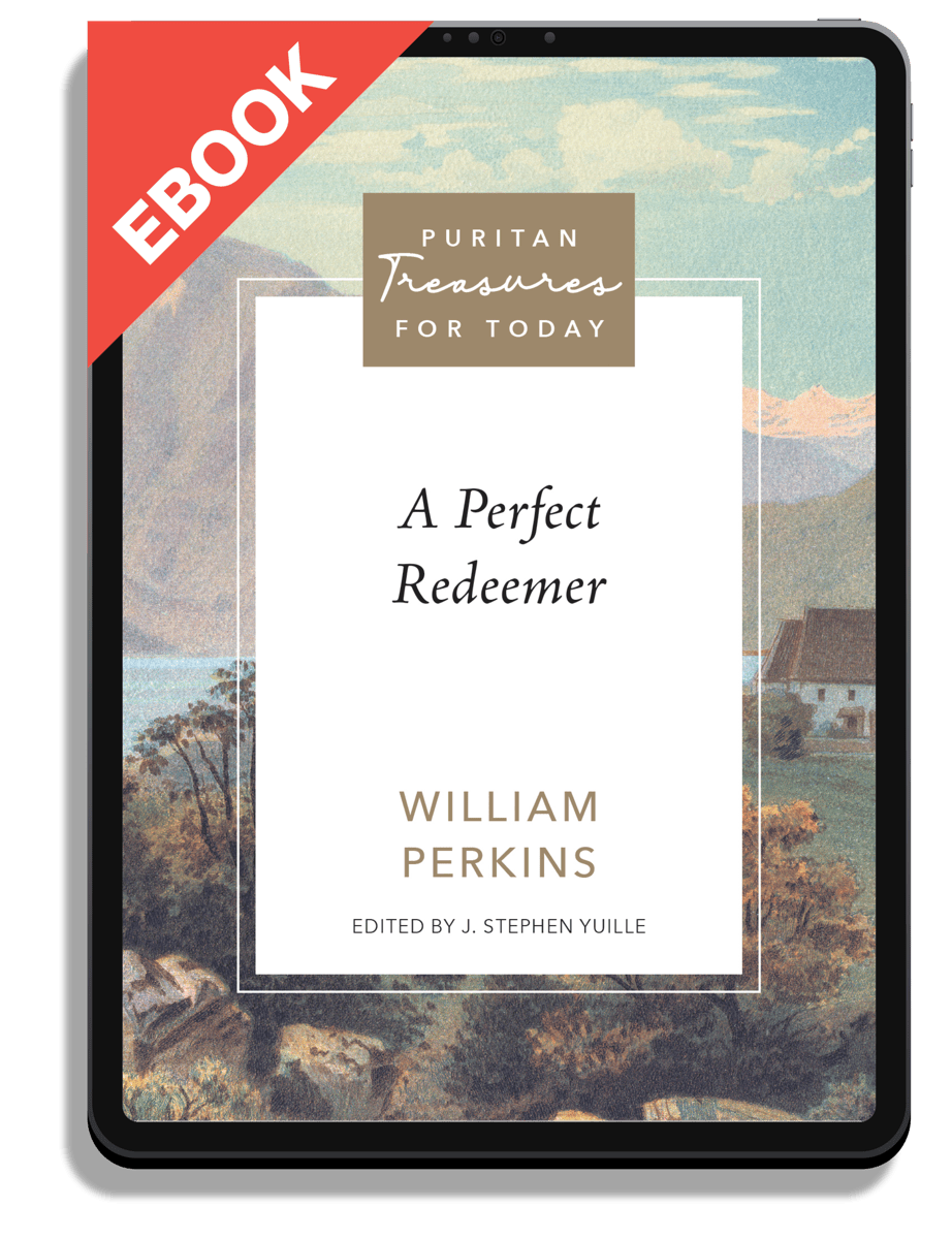 A Perfect Redeemer