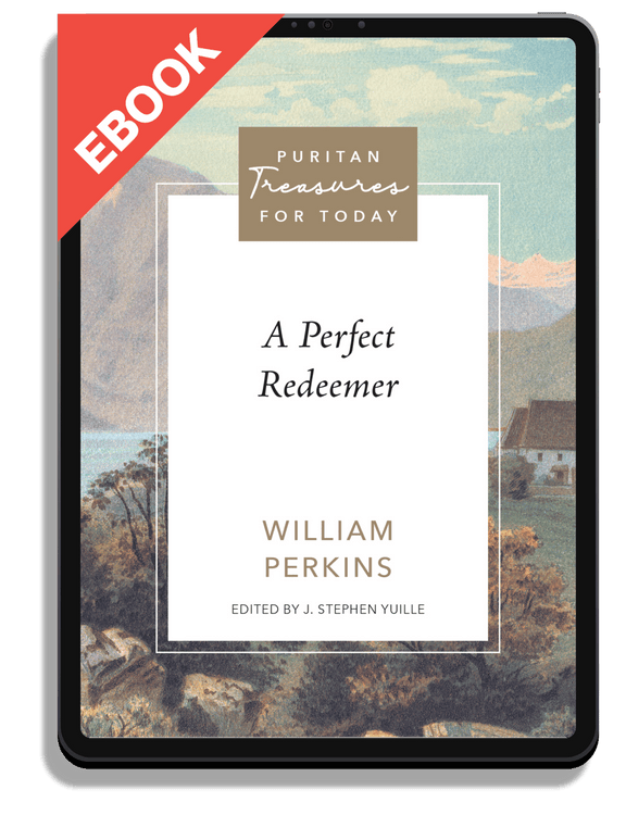 A Perfect Redeemer