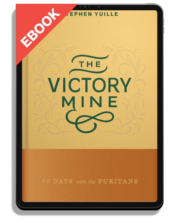 The Victory Mine: 90 Days with the Puritans