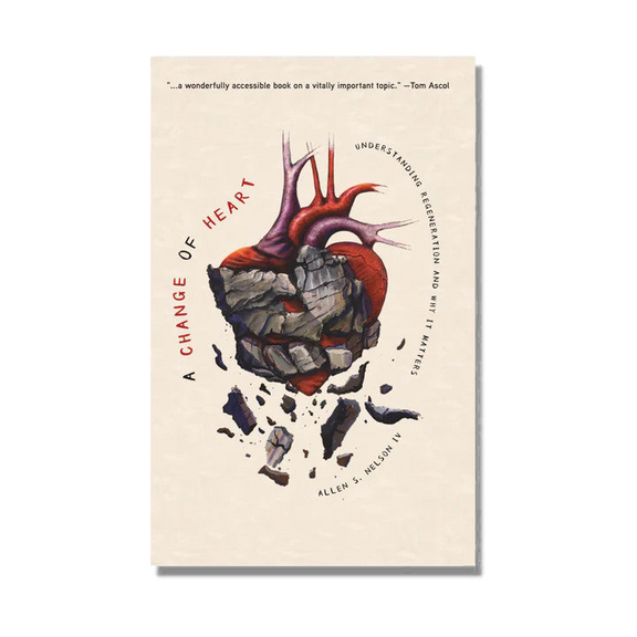 A Change of Heart: Understanding Regeneration and Why it Matters