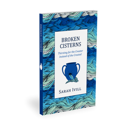 Broken Cisterns — 3D view