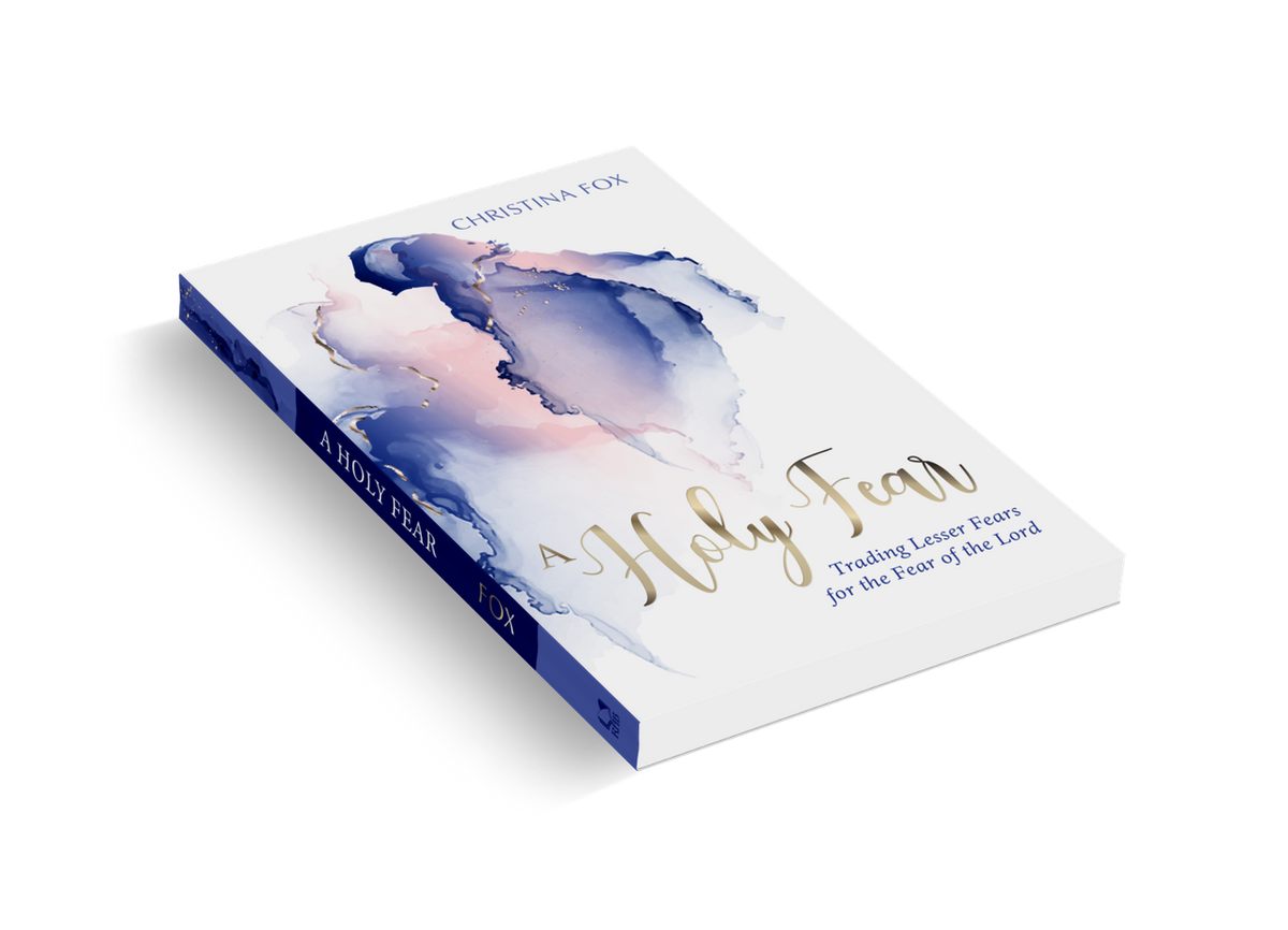 A Holy Fear — 3D view