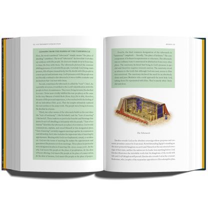Old Testament Introduction: Back to Basics