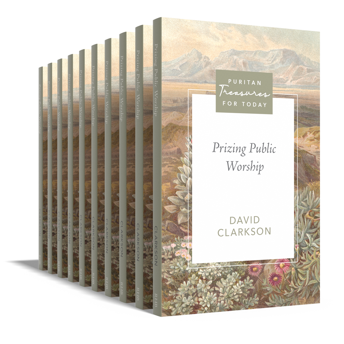 10 Pack - Prizing Public Worship
