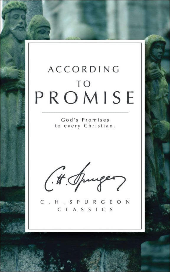 According to Promise: God's Promises to Every Christian